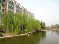 ̫�O������^(q��)