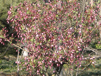 ̫�O�²����O(sh��)�乫˾���쾰ɫ