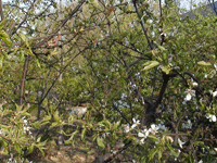 ̫�O�²����O(sh��)�乫˾���쾰ɫ