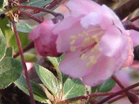 ̫�O��@��ɫ��̫�O�²����O(sh��)�乫˾