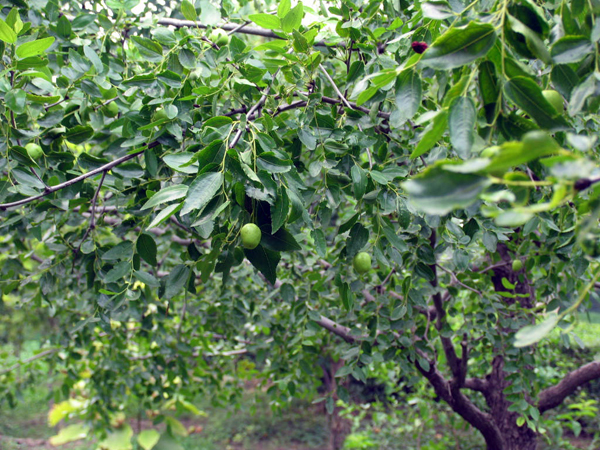 ̫�O�²����O(sh��)�乫˾